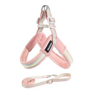 Dog leash chest strap vest