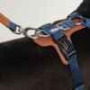 2D2F12D1950115CE2B484EF010CCA7A1.jpeg Nylon Outdoor Dog Tactical Harness