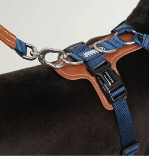 2D2F12D1950115CE2B484EF010CCA7A1.jpeg Nylon Outdoor Dog Tactical Harness