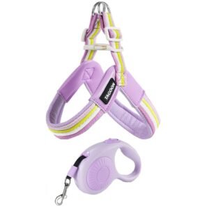 Dog leash chest strap vest