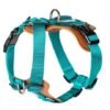F991D1A78743B3EA1EB391D0DA3C80EB.jpeg Nylon Outdoor Dog Tactical Harness